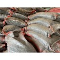 Volcanic Sand - 8 kg