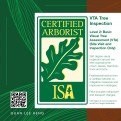 Tree Inspection - Level 2: Basic Visual Tree Assessment (Inspection)